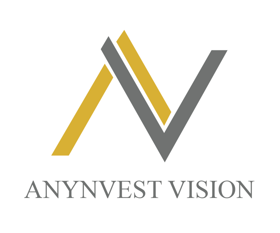 ANYNVEST VISION